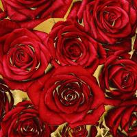 Roses - Red on Gold #KTB113452 Roses - Red on Gold #KTB113452