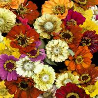 Floral Abundance I #KTB115114 Floral Abundance I #KTB115114