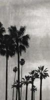 Palm Silhouette on Silver I #KTB115121 Palm Silhouette on Silver I #KTB115121