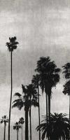 Palm Silhouette on Silver II #KTB115122 Palm Silhouette on Silver II #KTB115122
