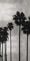 Palm Silhouette on Silver III #KTB115123 Palm Silhouette on Silver III #KTB115123