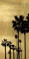 Palm Silhouette on Gold II #KTB115125 Palm Silhouette on Gold II #KTB115125