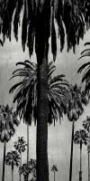 Palms with Silver I #KTB115131 Palms with Silver I #KTB115131