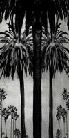 Palms with Silver II #KTB115132 Palms with Silver II #KTB115132