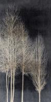 Silver Tree Silhoutte I #KTB115136 Silver Tree Silhoutte I #KTB115136