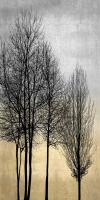 Trees on Silver & Gold I #KTB115140 Trees on Silver & Gold I #KTB115140