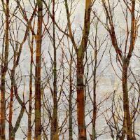 Through The Trees I #KWB111788 Through The Trees I #KWB111788