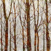 Through The Trees II #KWB111790 Through The Trees II #KWB111790