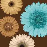 Daisy Quartet II #LB6839 Daisy Quartet II #LB6839