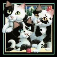 Cookies and Cream (Black Trio) #LE111198 Cookies and Cream (Black Trio) #LE111198