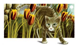 King of the Jungle #LE111245 King of the Jungle #LE111245