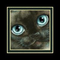 Nights in White Satin (Detail #LE111264 Nights in White Satin (Detail #LE111264