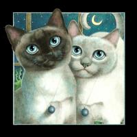 Nights in White Satin (Black) #LE111266 Nights in White Satin (Black) #LE111266