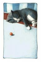 Power Nap #LE111324 Power Nap #LE111324