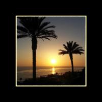 Beach I #LE111730 Beach I #LE111730