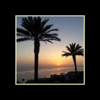 Beach II #LE111731 Beach II #LE111731