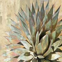 Succulent I #LN114176 Succulent I #LN114176