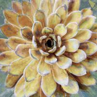 Succulent II #LN114177 Succulent II #LN114177
