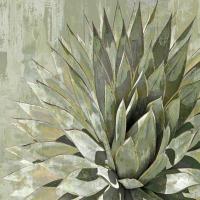 Succulent Verde I #LN114180 Succulent Verde I #LN114180