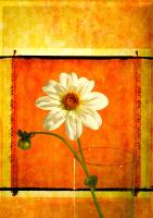 Daisy #72875 Daisy #72875