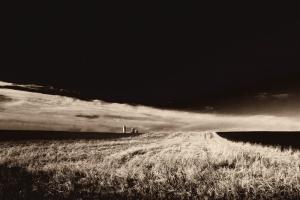Field & Farm I #87179 Field & Farm I #87179