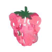 Raspberry #93063 Raspberry #93063