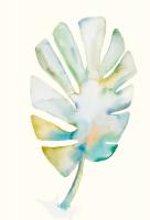 Psychedelic Frond 1 #98526 Psychedelic Frond 1 #98526