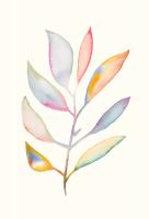 Psychedelic Frond 2 #98527 Psychedelic Frond 2 #98527