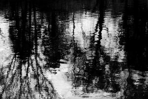 Reflecting #MBT112088 Reflecting #MBT112088
