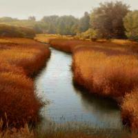 Sunlit Pond I #MCL111452 Sunlit Pond I #MCL111452