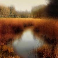 Sunlit Pond II #MCL111453 Sunlit Pond II #MCL111453
