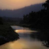 Sunlit River #MCL112621 Sunlit River #MCL112621