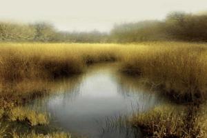 Tranquil Pond #MCL112623 Tranquil Pond #MCL112623