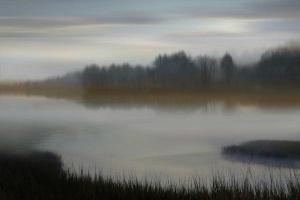 Dawn #MCL114256 Dawn #MCL114256