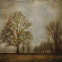 Morning Meditation I #MCL7420 Morning Meditation I #MCL7420