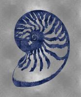 Sea Life - Blue on Silver III #MEL112641 Sea Life - Blue on Silver III #MEL112641
