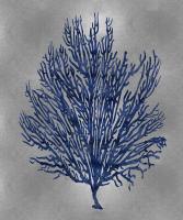 Sea Life - Blue on Silver V #MEL112643 Sea Life - Blue on Silver V #MEL112643