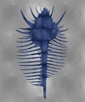 Sea Life - Blue on Silver VI #MEL112644 Sea Life - Blue on Silver VI #MEL112644