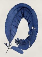 Sea Life - Indigo I #MEL112645 Sea Life - Indigo I #MEL112645