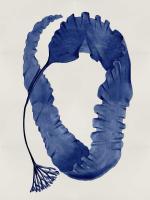 Sea Life - Indigo II #MEL112646 Sea Life - Indigo II #MEL112646