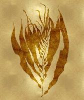 Sea Life - Gold I #MEL112649 Sea Life - Gold I #MEL112649