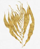 Sea Life - Gold on White I #MEL112655 Sea Life - Gold on White I #MEL112655