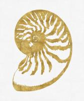Sea Life - Gold on White III #MEL112657 Sea Life - Gold on White III #MEL112657
