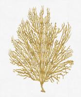 Sea Life - Gold on White V #MEL112659 Sea Life - Gold on White V #MEL112659