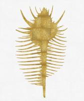 Sea Life - Gold on White VI #MEL112660 Sea Life - Gold on White VI #MEL112660
