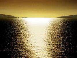 Sunlight Reflection - Golden #ML112227 Sunlight Reflection - Golden #ML112227