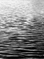 Ocean Current BW I #ML114299 Ocean Current BW I #ML114299