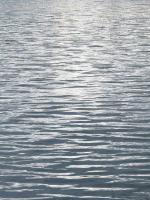Ocean Current II #ML114306