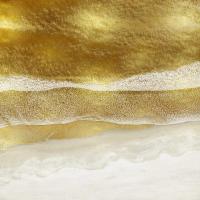 Gold Coast I #ML115258