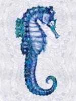 Sea Horse II #MMR112229 Sea Horse II #MMR112229